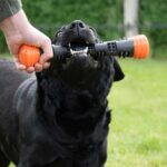 Werpstok Veerkrachtig Rubber voor Apporteren – Dog Comets Meteor - Afbeelding 2