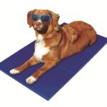 Koelmat Drukgeactiveerde Koeling voor Honden En Katten – Pet-Star