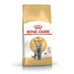 Royal Canin Feline British Shorthair adult – droogvoer kat
