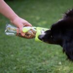 Snackfles met Opvouwbare Siliconenkom voor Onderweg – PROCYON Travel Feeder - Afbeelding 2