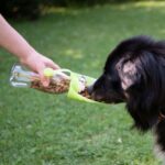 Snackfles met Opvouwbare Siliconenkom voor Onderweg – PROCYON Travel Feeder