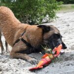 Hondenspeelgoed van Brandweerslang Dubbel Genaaid Drijvend – Hofman Animal Care Jeffrey Jungle - Afbeelding 3