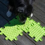 Likmat Puzzel Uitbreidbaar voor Honden – PROCYON Ladi Mat - Afbeelding 3