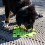 Likmat Puzzel Uitbreidbaar voor Honden – PROCYON Ladi Mat - Afbeelding 4
