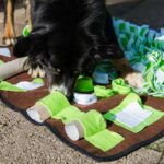 Snuffelmat 80 x 80 cm met Meer Dan 20 Verstopplekken voor Zoekspel – PROCYON - Afbeelding 2