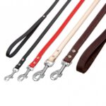 Honden Riem Volrundleer Naturel met Nieten 100 cm 20 mm – Karlie RONDO