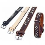 Leren Halsband Onderlegd met Nappaleer, Rondkopnieten – Karlie Rondo