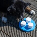 Snuffelring Compact met Geurdoosjes voor Neuswerk – PROCYON - Afbeelding 4