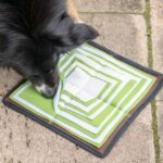 Snuffelmat Antislip voor Zoekspel – PROCYON Schnüffelpyramide - Afbeelding 2