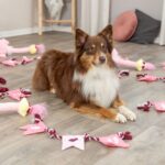 Hondenspeelgoed Pluche Valentijnsboeket met Pieper – Trixie - Afbeelding 2