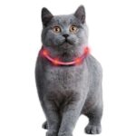 Kattenhalsband LED USB-oplaadbaar – Karlie Visio Light - Afbeelding 3