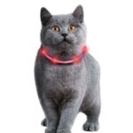 Kattenhalsband LED Oplaadbaar voor Zichtbaarheid – Karlie Visio Light - Afbeelding 3