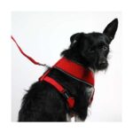 Honden Tuigje Zacht Netmateriaal – Pet-Star Softgeschirr - Afbeelding 4