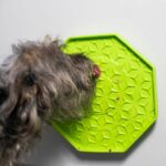 Likmat Wobbelend met Zuignap – PROCYON Ladi Mat - Afbeelding 3