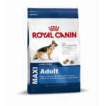 Royal Canin Maxi Adult - droogvoer hond – gevoelige maag/darmen