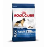 Royal Canin Size Maxi Adult 5+ – droogvoer hond – senior