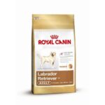 Royal Canin Labrador Retriever Adult droogvoer hond – ideaal gewicht en sterke gewrichten