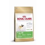 Royal Canin Pug Adult – droogvoer hond