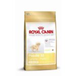 Royal Canin Pudel Junior droogvoer hond – junior