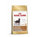 Royal Canin Labrador adult gesteriliseerd – droogvoer hond – sterilised