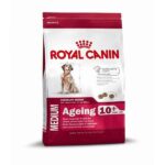 Royal Canin Size Medium Ageing 10+ – droogvoer hond – senior