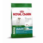 Royal Canin Mini Adult +8 – droogvoer hond – senior