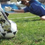 Rasenzaadmengsel Regeneratie zonder Poa pratensis voor Sportrassen – Rasen Kiepenkerl RSM 3.2