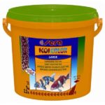 Koivoer Kleurversterkend voor Middelgrote Koi – Sera Koi Color large