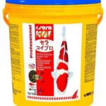 Koivoer Kleurondersteunend voor Koi – Sera Koi Professional Spirulina