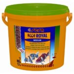 Koivoer Goed Verteerbaar voor Opgroeiende Koi – Sera Koi Royal HF Medium 3800ml