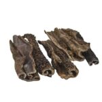 Hondensnack Gedroogde Runderpens 5 kg – Classic Dog Pens Natur