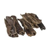 Hondensnack Gedroogde Runderpens Emmer 800 g – Classic Dog