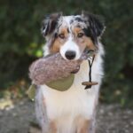 Honden Apporteerdummy in Eendvorm met Imitatiebont – PROCYON PS-41677 - Afbeelding 4