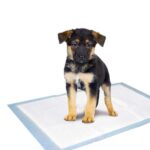 Puppy Trainingsmatten Absorberend 35 x 45 cm 10 Stuks – Karlie Flamingo