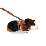 Kleintierharnas met Flexibele Riem maat – Karlie Comfort 2 in 1 - Afbeelding 2