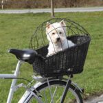 Zwarte Hondenfietsmand van Wilgentenen voor Bagagedrager – Trixie 13117-TRXI - Afbeelding 2