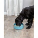 Keramische Hondenbak met Patroon Blauw 0,4 l Ø 13 cm – Trixie 25112-TRXI-VAR - Afbeelding 3