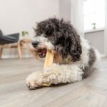 Trixie Kauwkaas voor Honden 70 g - Afbeelding 6