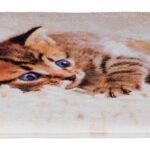 Kattenkussen met Pluche Hoes Beige 40 × 50 cm – Trixie Tilly
