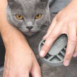 Kattenverzorgingsset voor Kortharige Katten – Hagen 40000-HAG - Afbeelding 4