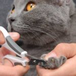 Kattenverzorgingsset voor Kortharige Katten – Hagen 40000-HAG - Afbeelding 5
