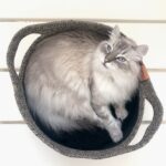 Zwarte Kattenmand van Katoentouw met Teddyvacht Kussen – D&D Home Tod - Afbeelding 4