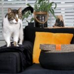 Zwarte Kattenmand van Katoentouw met Teddyvacht Kussen – D&D Home Tod - Afbeelding 5