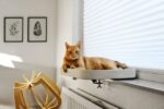 Witte Kattenmand voor Vensterbank met Verstelbare Klem – EBI Kyo - Afbeelding 2