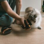Ovale Borstel met Natuurlijke Zwijnenharen voor Honden en Katten – EBI Noir Ergonomic - Afbeelding 4
