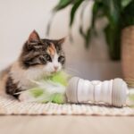Elektronisch Kattenspeelgoed met USB-oplaadfunctie in Wit en Groen – EBI Double Spinner - Afbeelding 3