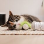 Elektronisch Kattenspeelgoed met USB-oplaadfunctie in Wit en Groen – EBI Double Spinner - Afbeelding 4