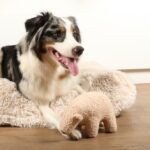 Hondenknuffel van Teddystof met Pieper – D&D Home Banjo - Afbeelding 3
