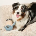 Hondenknuffel met Knispervleugels Blauw – D&D Home Isla - Afbeelding 5