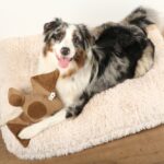 Bruin Hondenknuffelspeelgoed met Knisperende Vleugels en Pieper – D&D Home Kayli - Afbeelding 4